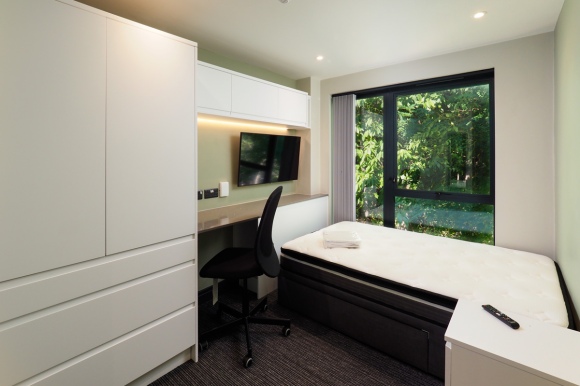 Cedar Luxury Plus Room
